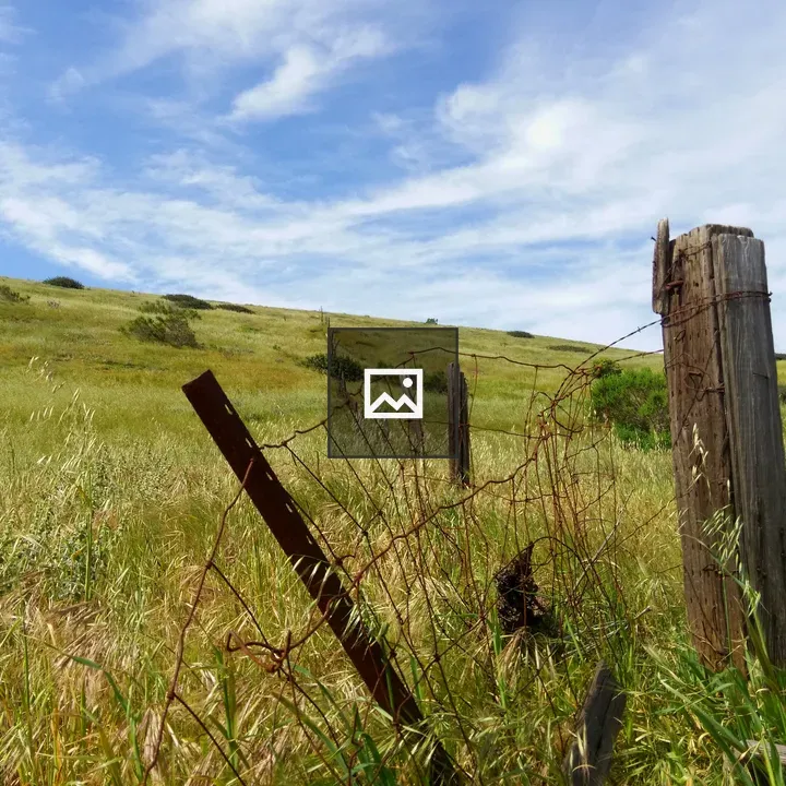 Broken wire fencing in field