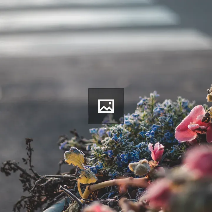 Frosted pink and blue flowers