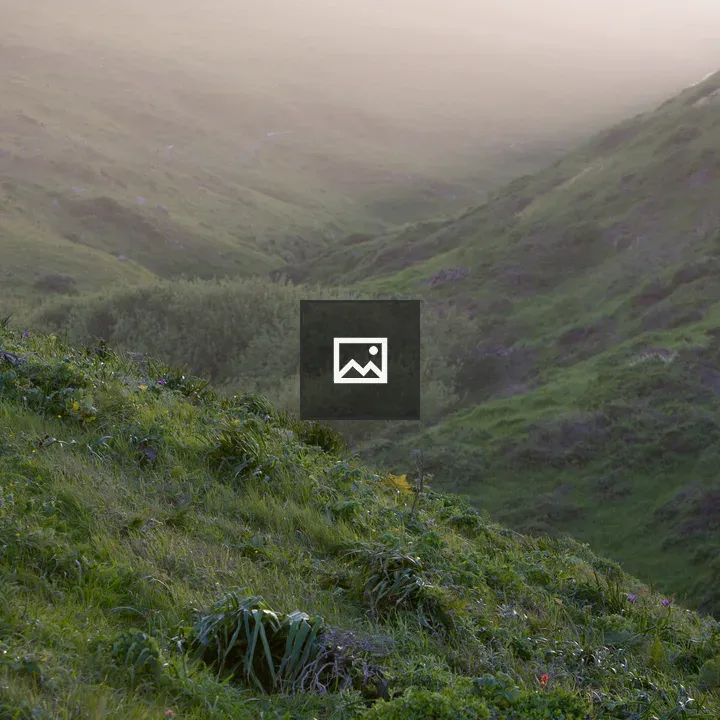 Grassy hills at golden hour
