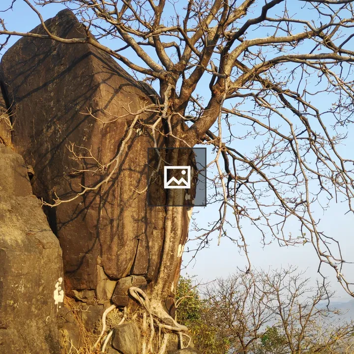 Large Stone and Tree