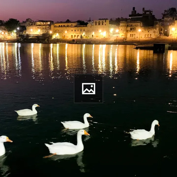 Ducks on a Lake