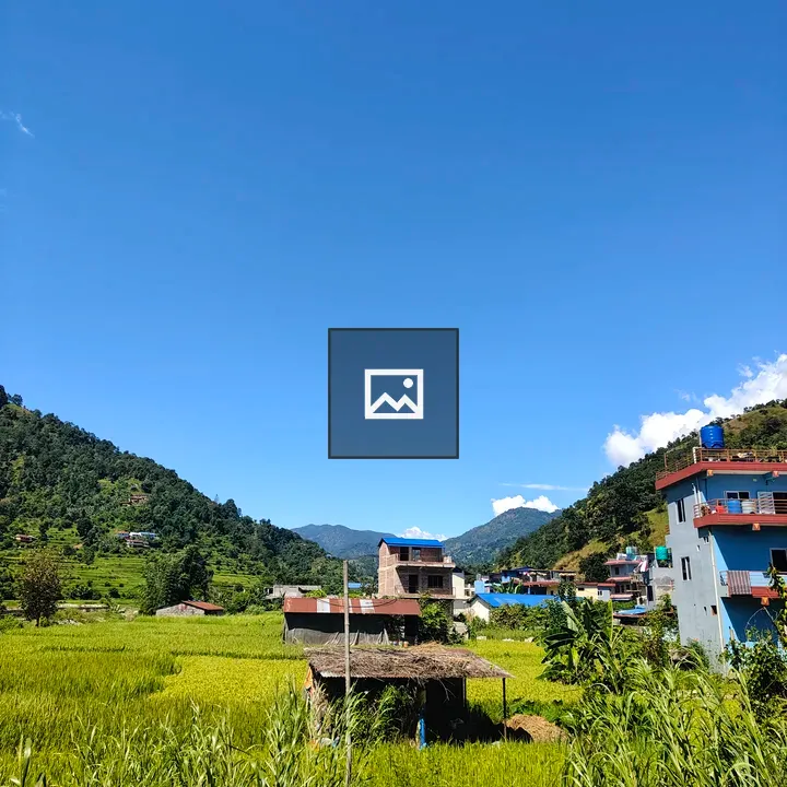 Rice fields landscape with village