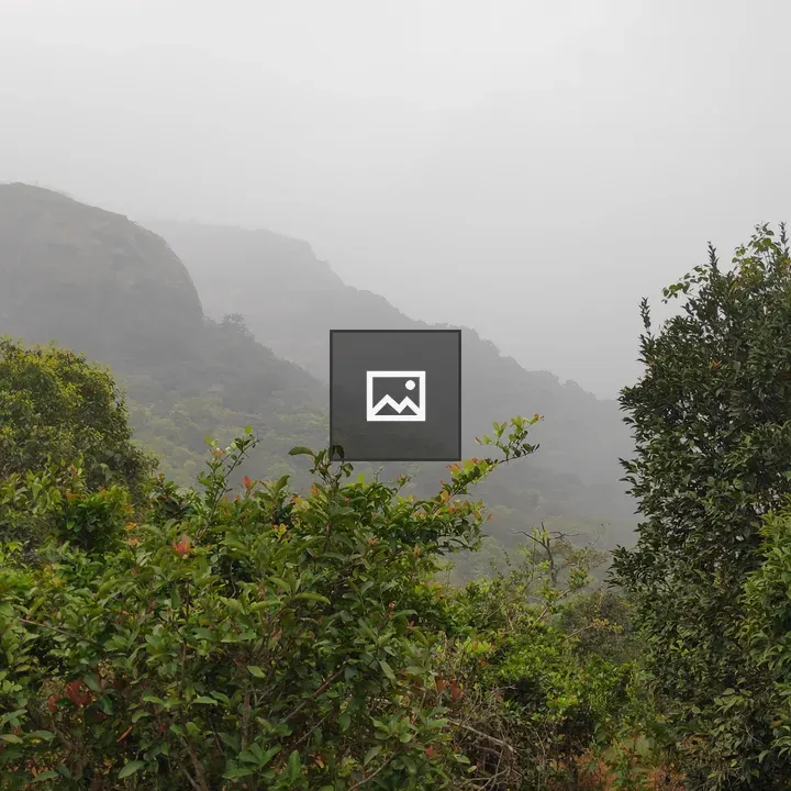 Hills, Trees and Nature