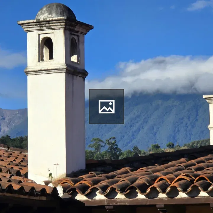 Clay Tile Roofs and Chimneys