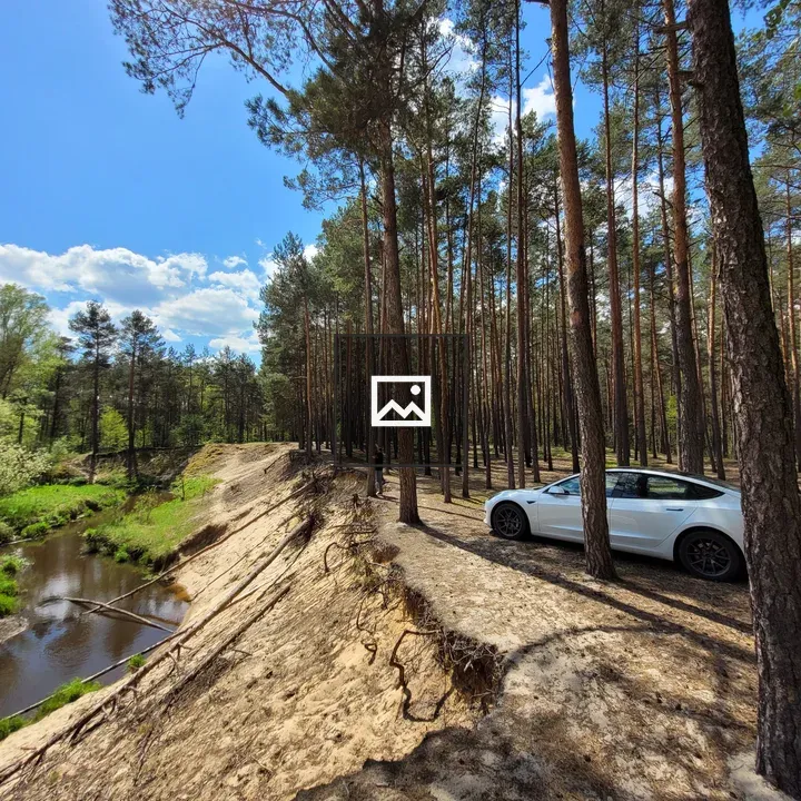Tesla in the forest by river