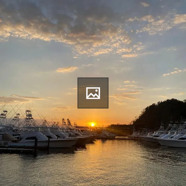 Marina at Sunset with Boats