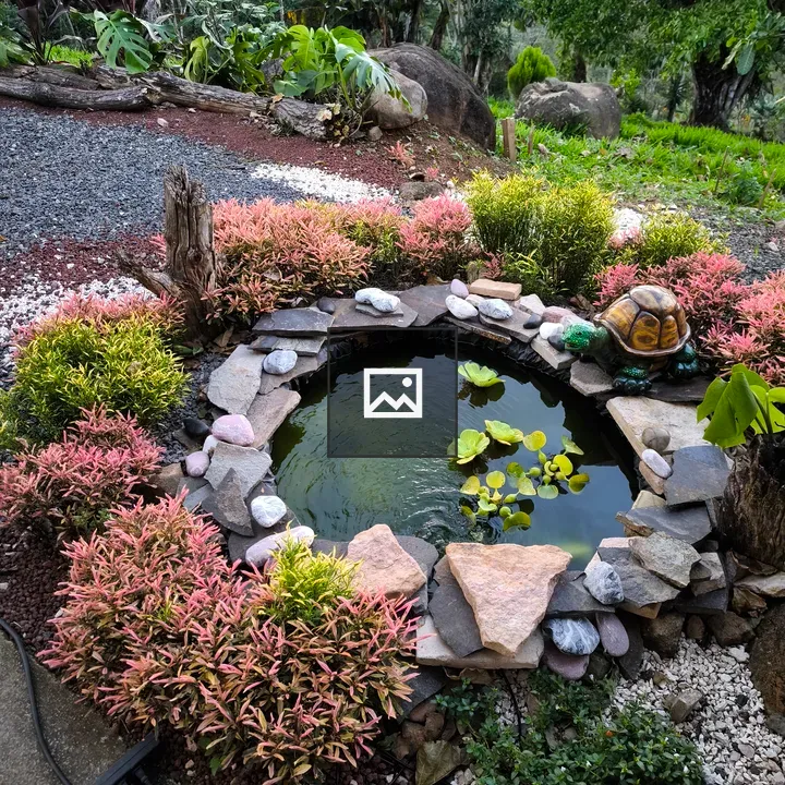 Garden pond with decorative turtle