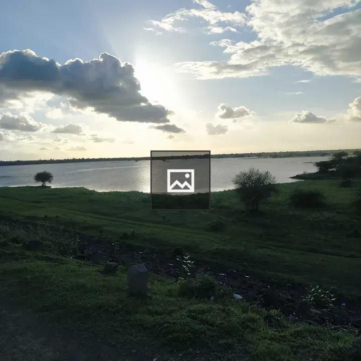 Lake View Nature Scene