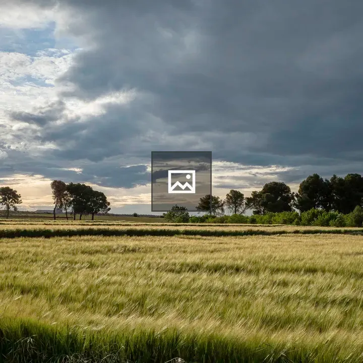 Wheat Field with Stone Structure