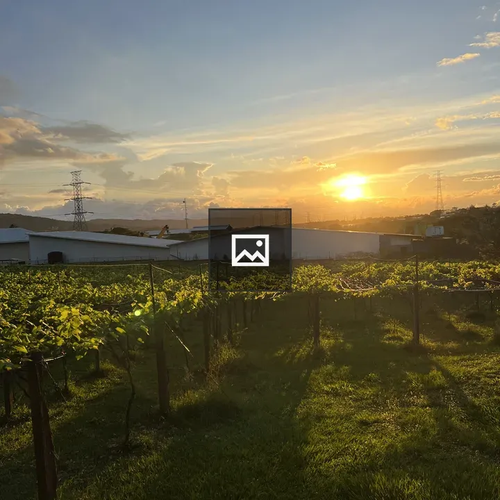Sunset Over Green Field
