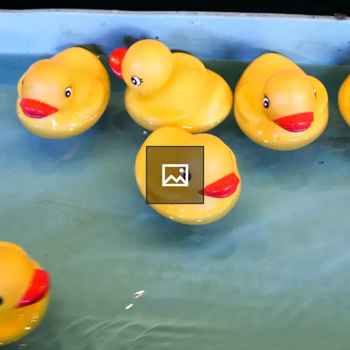 Six yellow rubber ducks in water