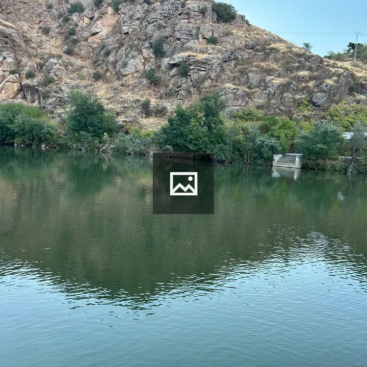 Serene Landscape by Calm Water