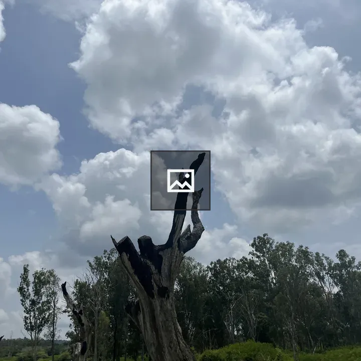 Empty tree