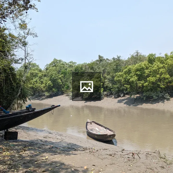 Three wooden boats by riverbank
