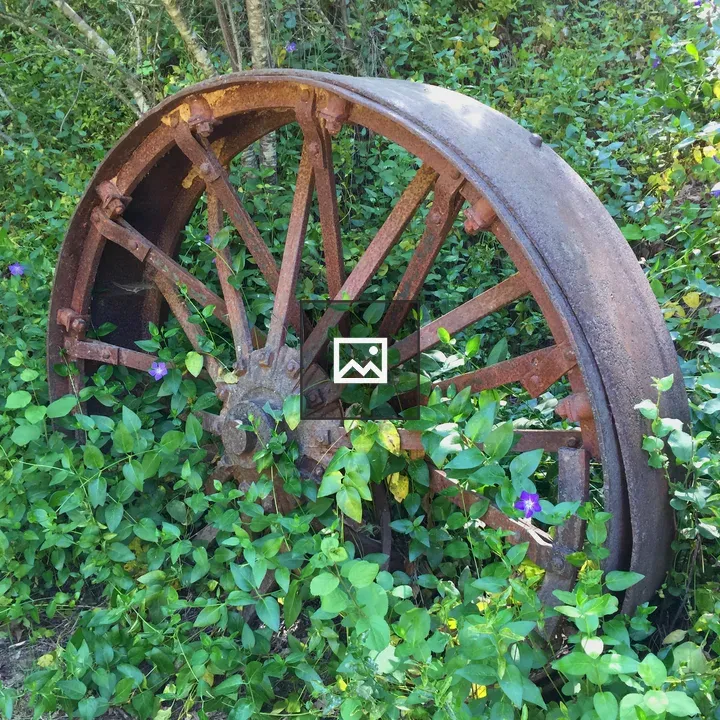 Old Metal Wagon Wheel