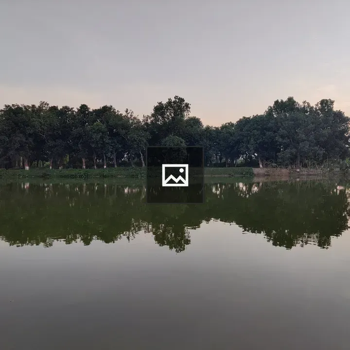 Reflection of trees in water