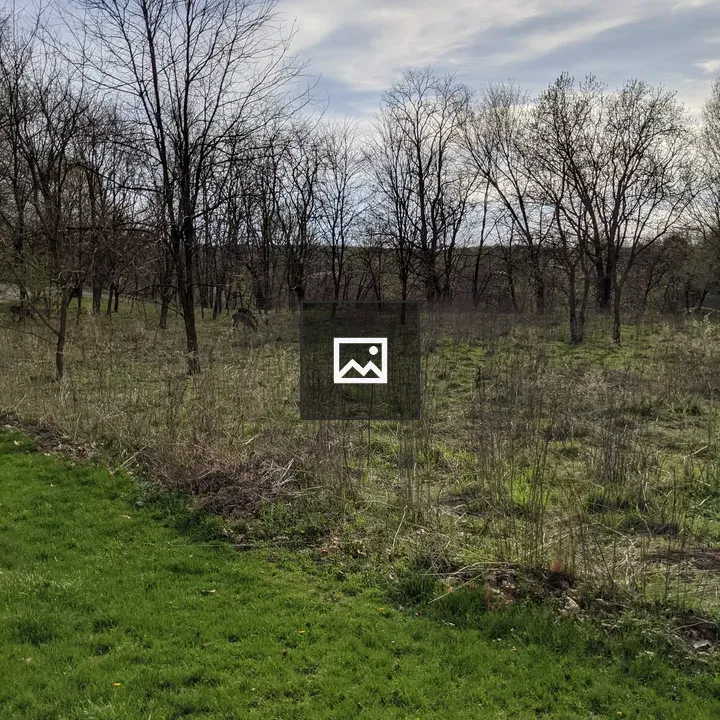 Edge of Field and Winter Trees