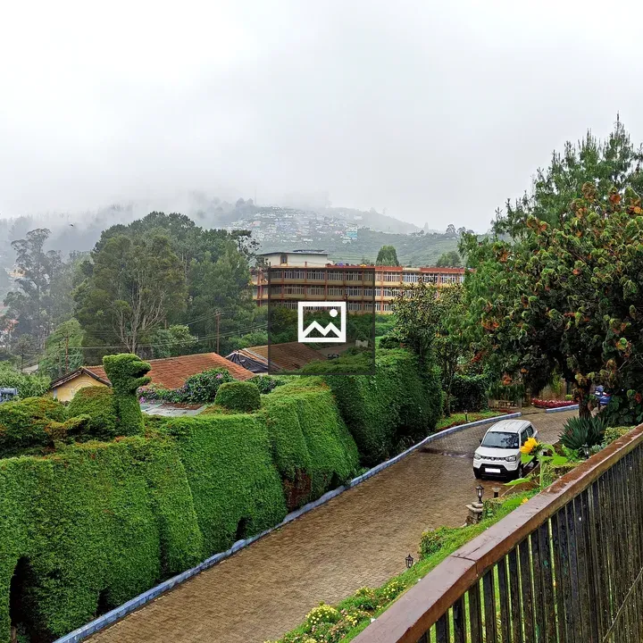Misty morning landscape in Ooty