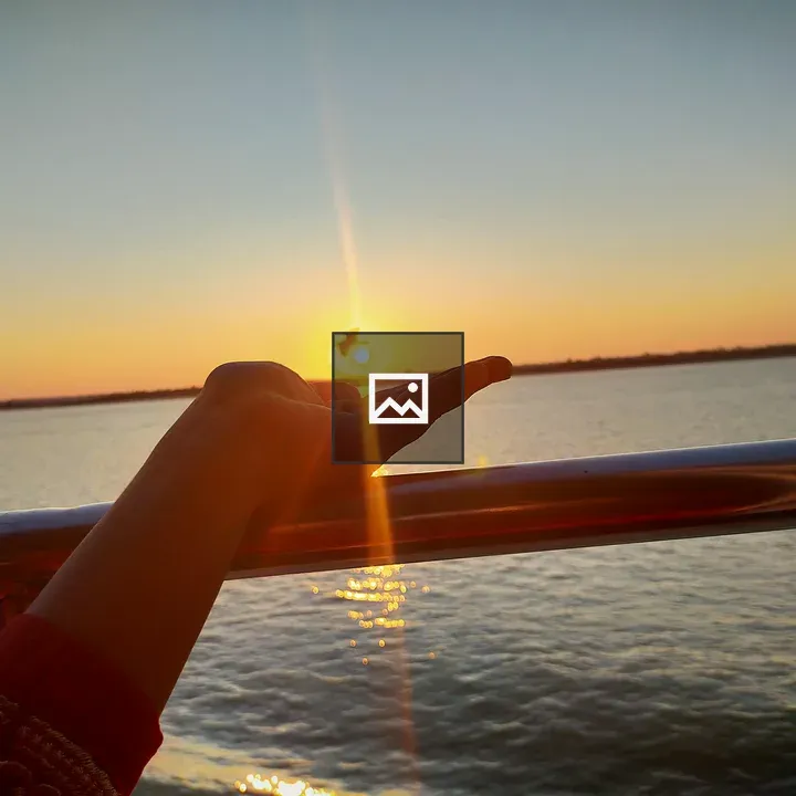 Sunset on a Hand with Bird