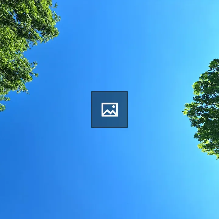 Blue Sky Through Green Leaves