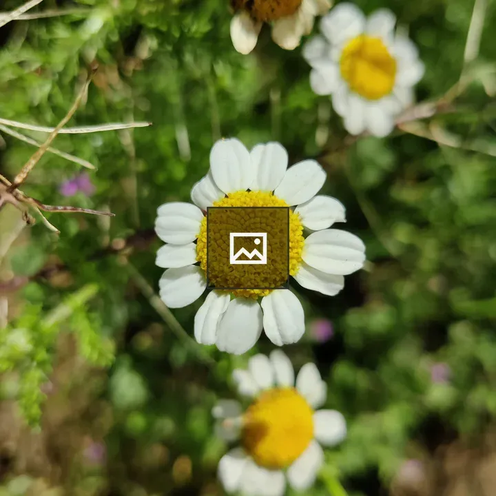 Flowers on Green and White