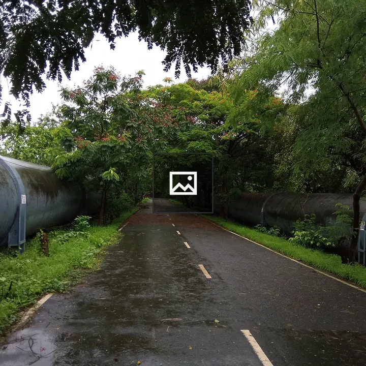 Pipeline Road Nature Scene