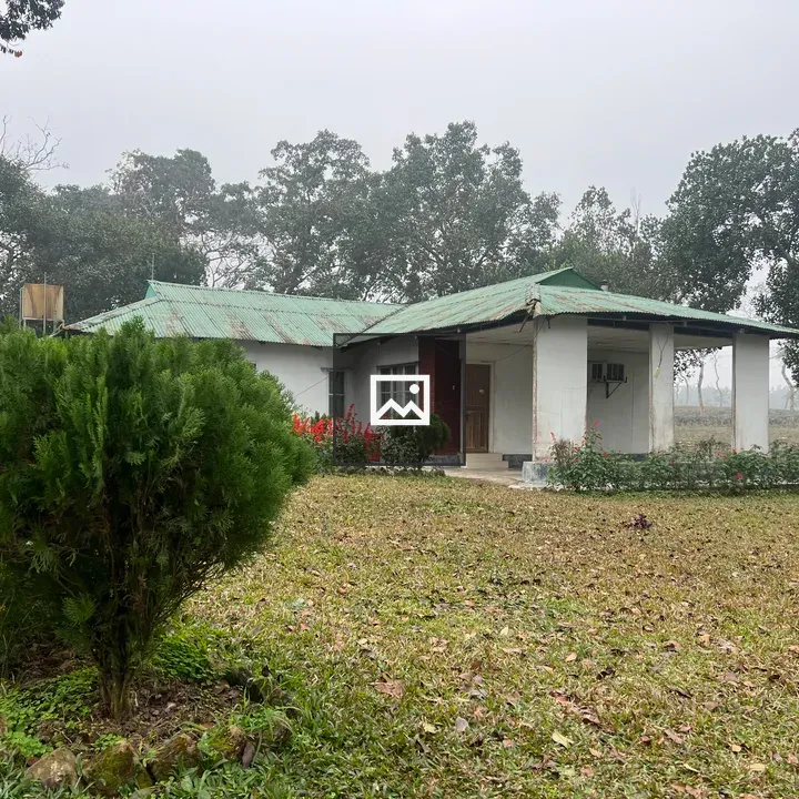 Green cottage in open field