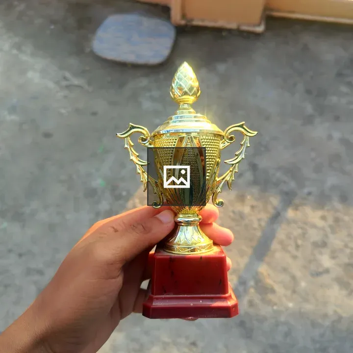 Person Holding Golden Trophy