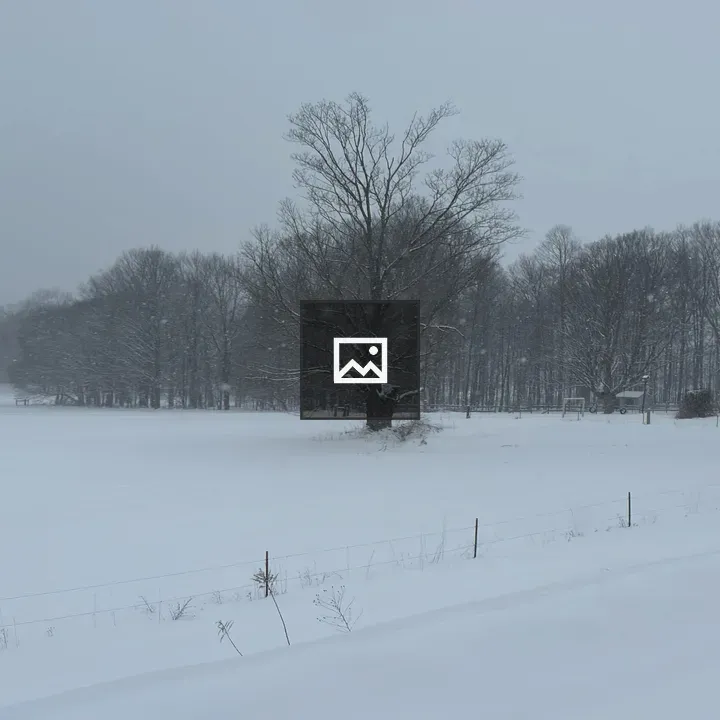 Snowy field with distant trees