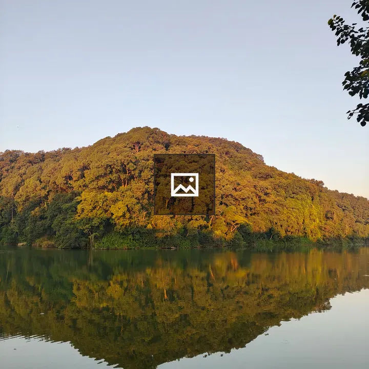 Lake in Dense Forest