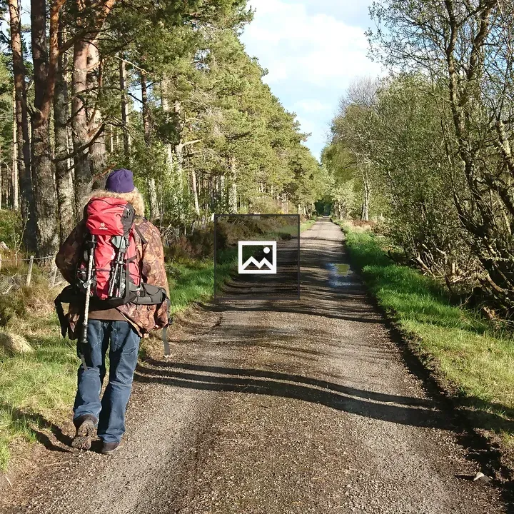 Hiker in Nature Landscape