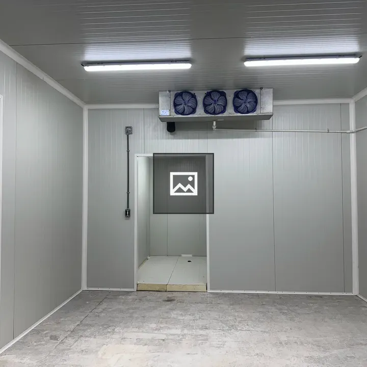 Cold storage room with evaporator