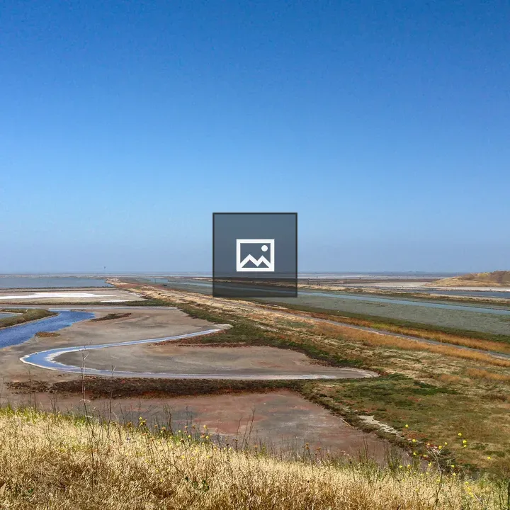 Overlooking San Francisco Bay from Coyote Hills