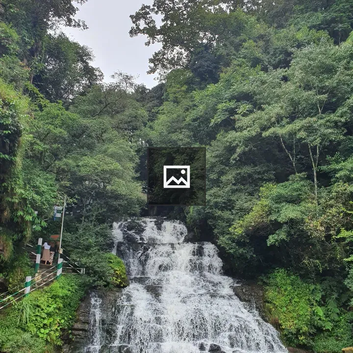 Waterfall with Green Trees