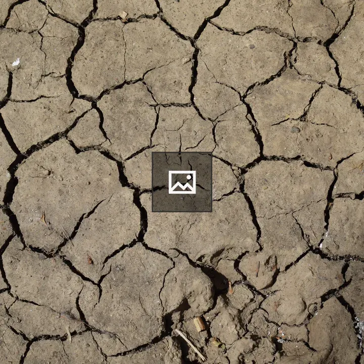 Cracked dirt surface
