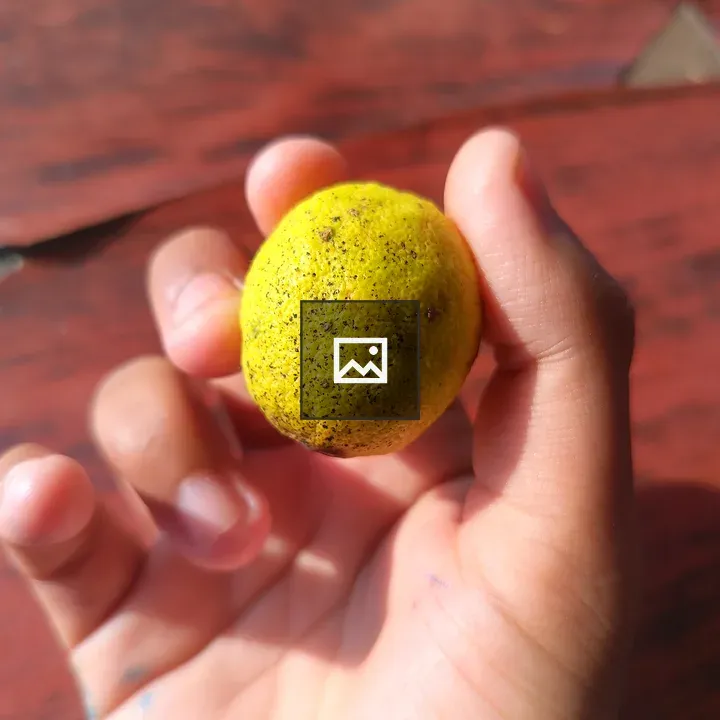 Lemon in Hand on Wood