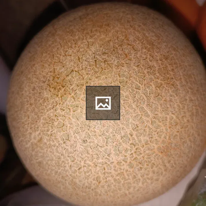 Melon skin close-up