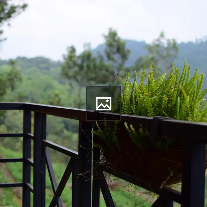 Balcony railing with planter and fern