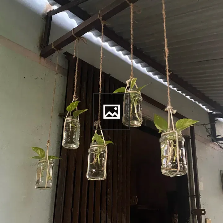 Hanging Jars with Green Plants