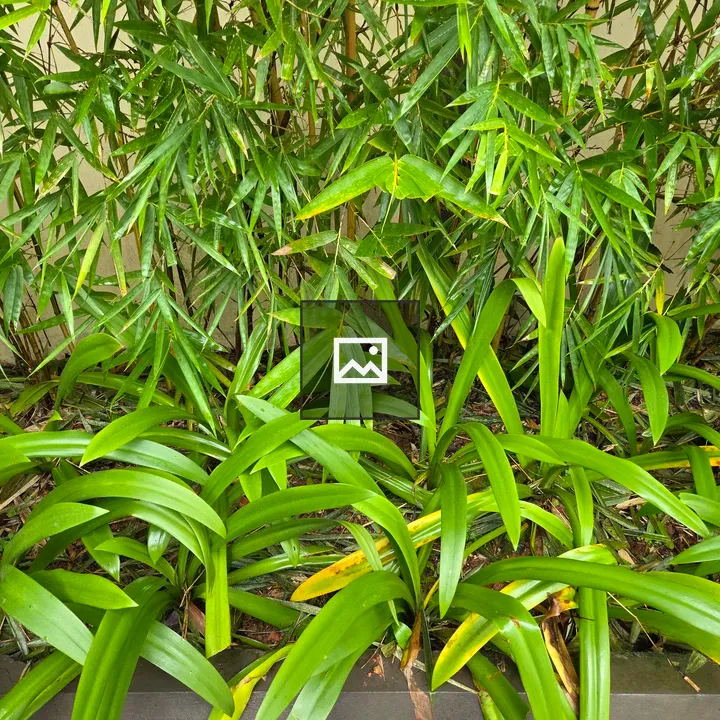 Bamboo and Green Leaves Arrangement