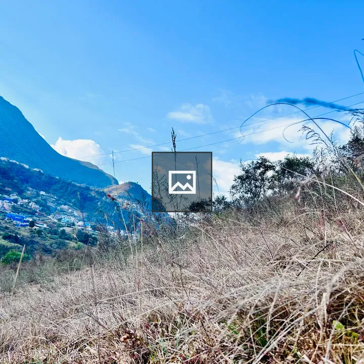 Hillside Landscaping Scene