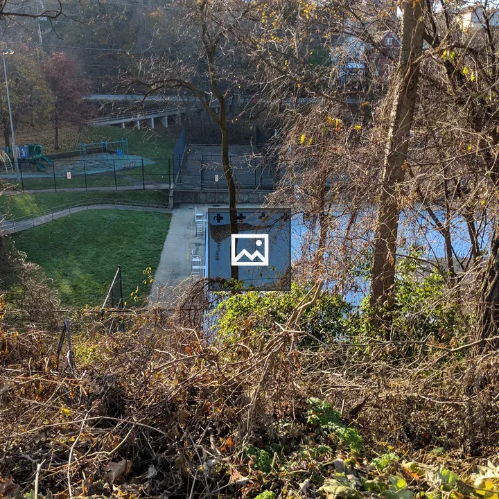 Water in woodland pool