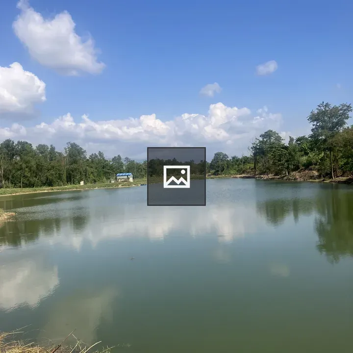 Calm lake landscape