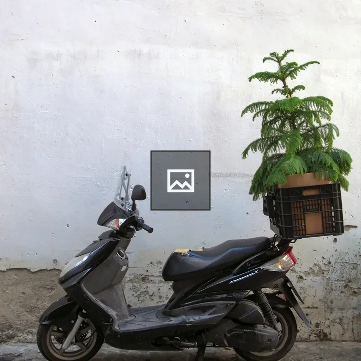 Scooter with Plant in Background