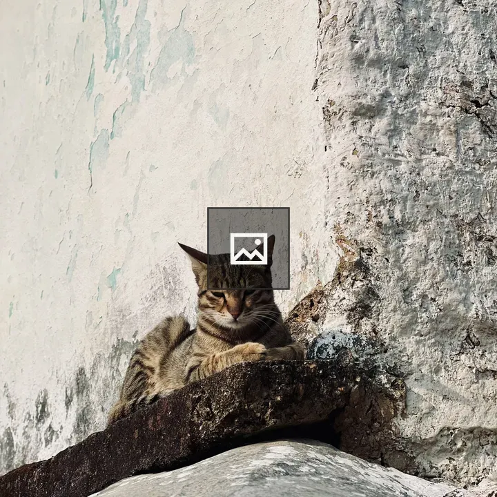 Tabby resting on weathered ledge
