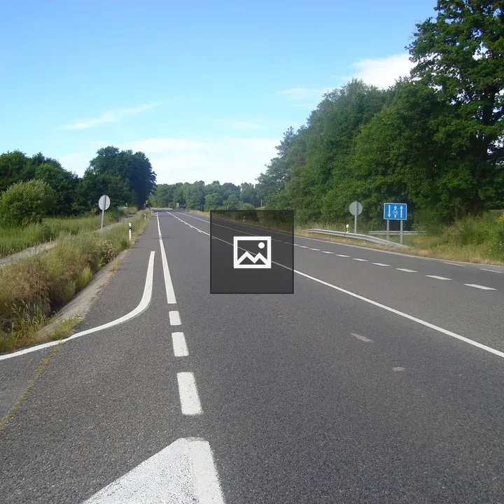 Road with Traffic Signs and Greenery