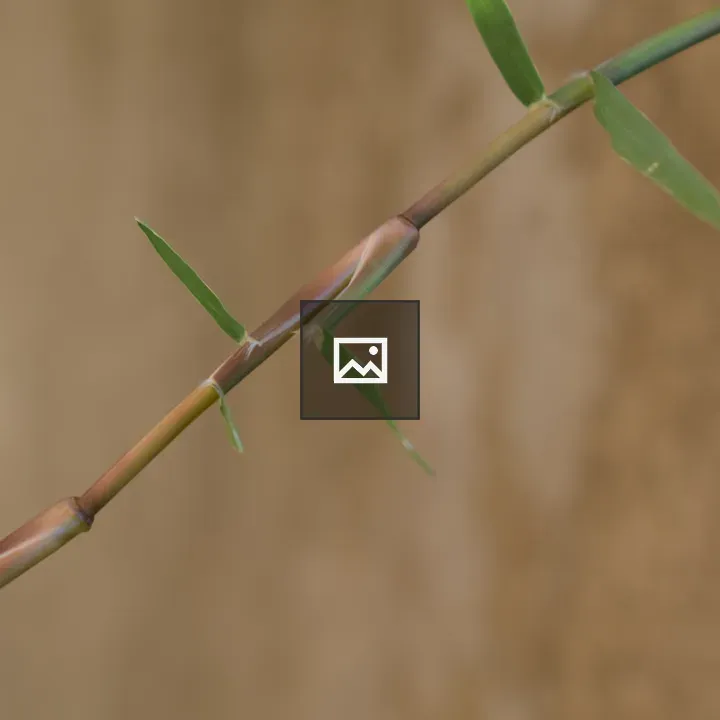 Branch of the plant close-up