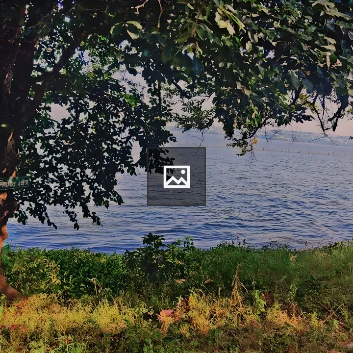 Two Trees by a Lake View