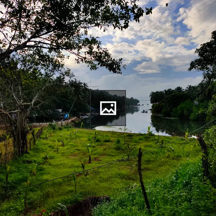 Nature landscape with lush greenery