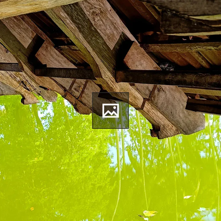 Pond of green water under wooden roof